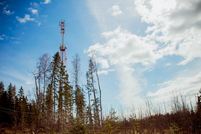 Трафик в сети Tele2 вырос почти на треть за 2021 год